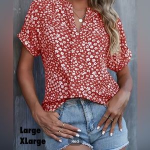 Women’s dress blouse.